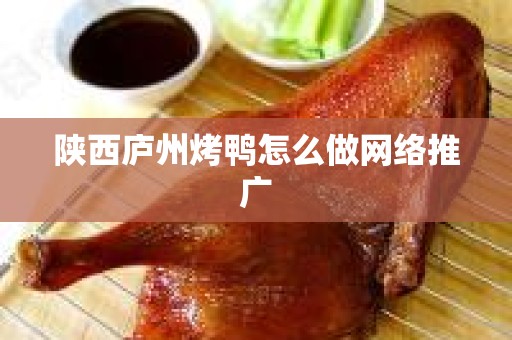 陕西庐州烤鸭怎么做网络推广
