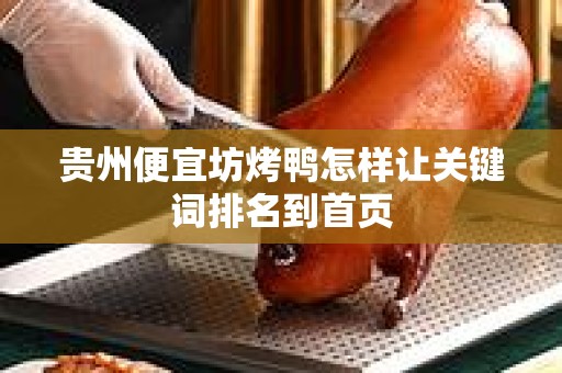 贵州便宜坊烤鸭怎样让关键词排名到首页