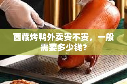 西藏烤鸭外卖贵不贵，一般需要多少钱？