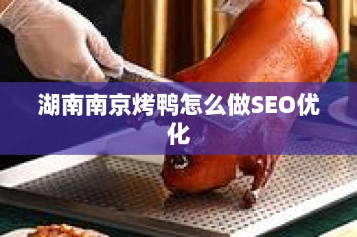 湖南南京烤鸭怎么做SEO优化