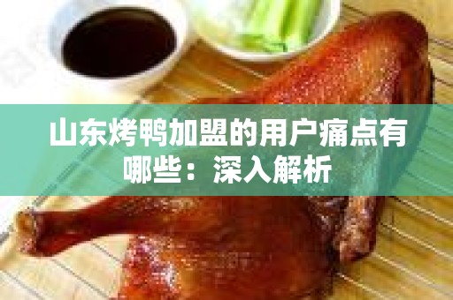 山东烤鸭加盟的用户痛点有哪些：深入解析