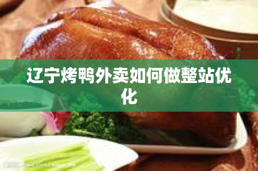 辽宁烤鸭外卖如何做整站优化
