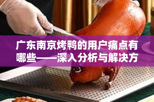 广东南京烤鸭的用户痛点有哪些——深入分析与解决方案