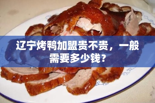 辽宁烤鸭加盟贵不贵，一般需要多少钱？