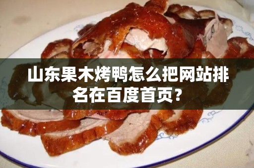 山东果木烤鸭怎么把网站排名在百度首页？
