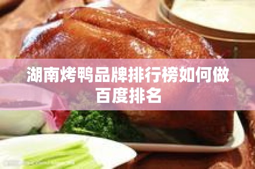 湖南烤鸭品牌排行榜如何做百度排名