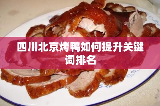四川北京烤鸭如何提升关键词排名