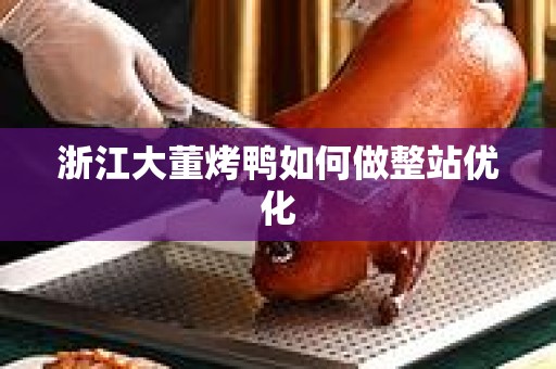 浙江大董烤鸭如何做整站优化