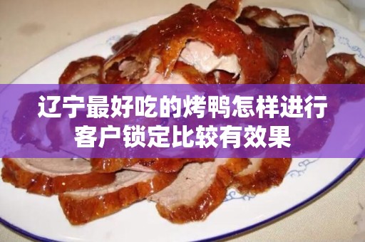 辽宁最好吃的烤鸭怎样进行客户锁定比较有效果