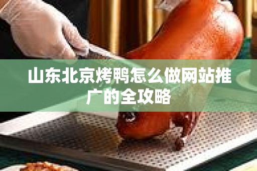 山东北京烤鸭怎么做网站推广的全攻略