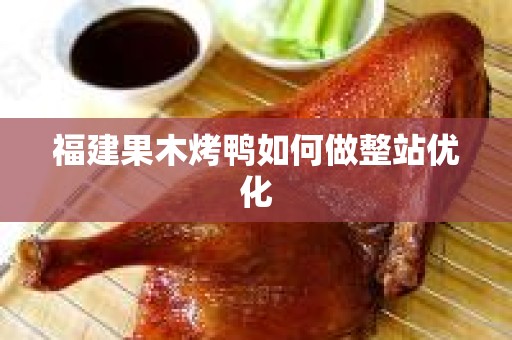 福建果木烤鸭如何做整站优化