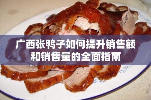 广西张鸭子如何提升销售额和销售量的全面指南