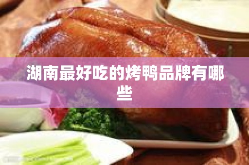 湖南最好吃的烤鸭品牌有哪些
