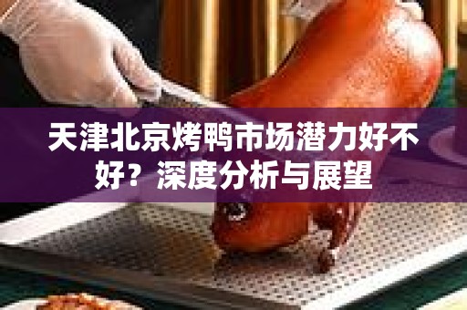 天津北京烤鸭市场潜力好不好？深度分析与展望