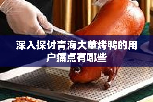 深入探讨青海大董烤鸭的用户痛点有哪些
