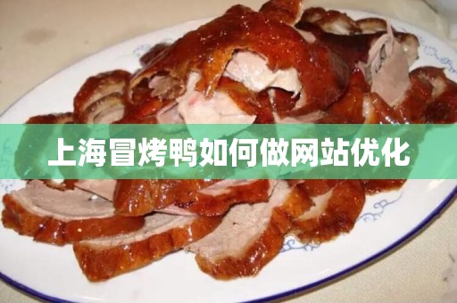 上海冒烤鸭如何做网站优化