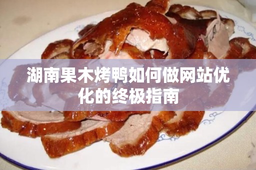 湖南果木烤鸭如何做网站优化的终极指南