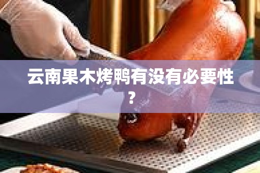 云南果木烤鸭有没有必要性？
