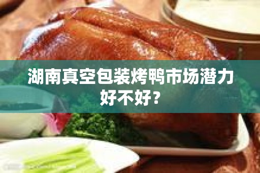 湖南真空包装烤鸭市场潜力好不好？