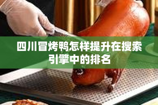 四川冒烤鸭怎样提升在搜索引擎中的排名