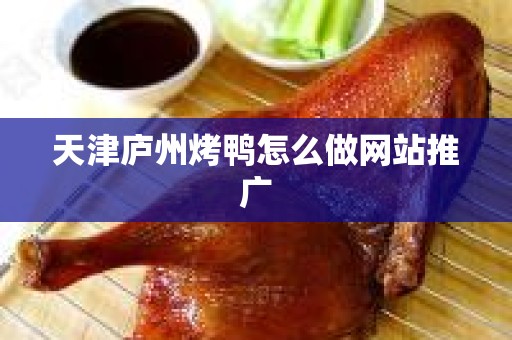 天津庐州烤鸭怎么做网站推广