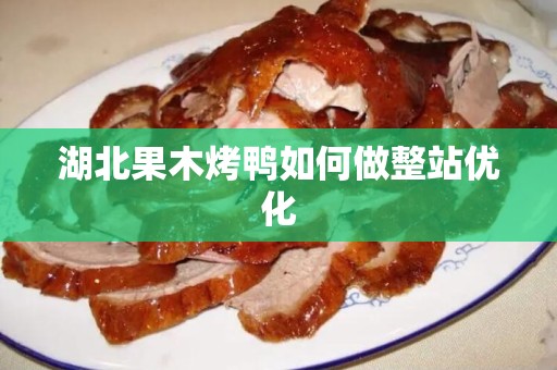 湖北果木烤鸭如何做整站优化