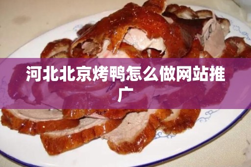 河北北京烤鸭怎么做网站推广