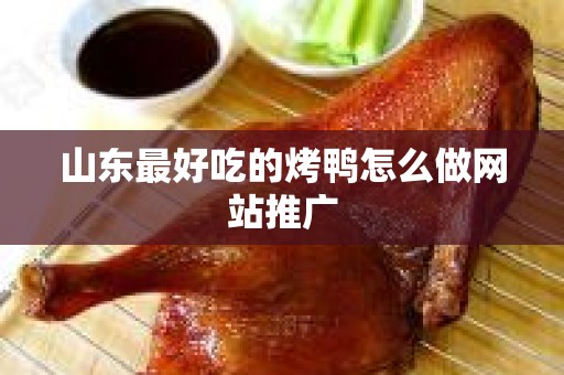 山东最好吃的烤鸭怎么做网站推广
