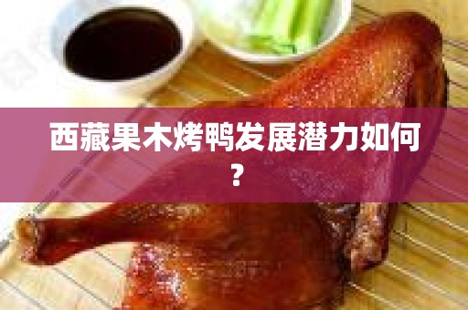 西藏果木烤鸭发展潜力如何？