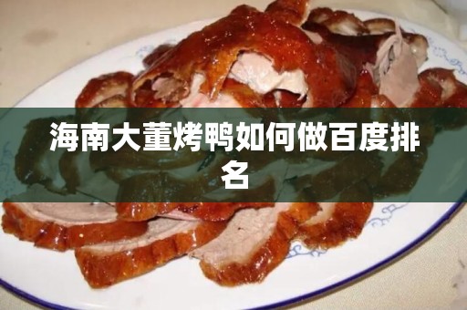 海南大董烤鸭如何做百度排名