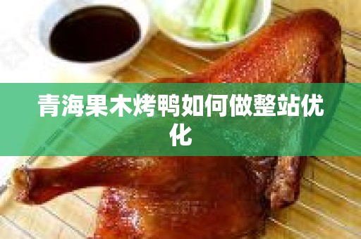 青海果木烤鸭如何做整站优化