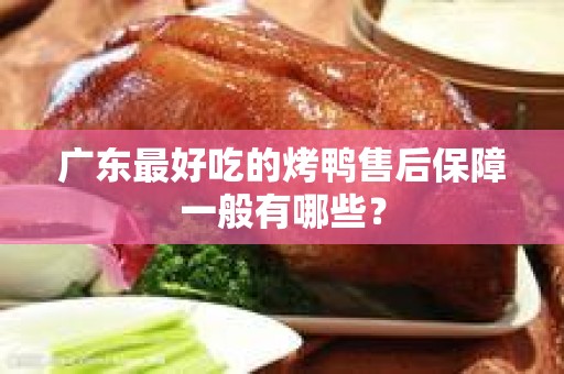 广东最好吃的烤鸭售后保障一般有哪些？