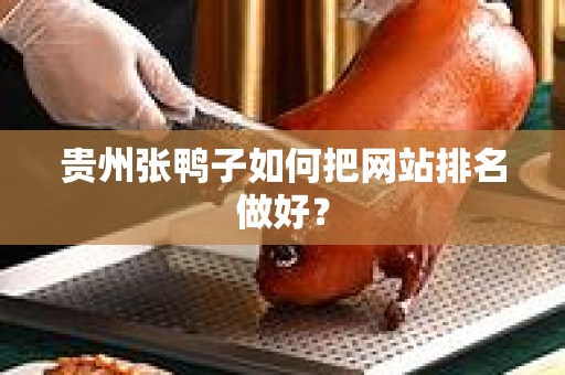 贵州张鸭子如何把网站排名做好？