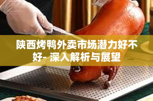 陕西烤鸭外卖市场潜力好不好- 深入解析与展望
