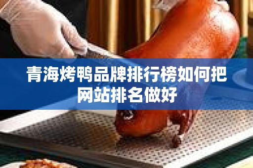 青海烤鸭品牌排行榜如何把网站排名做好