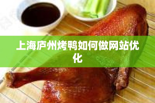 上海庐州烤鸭如何做网站优化