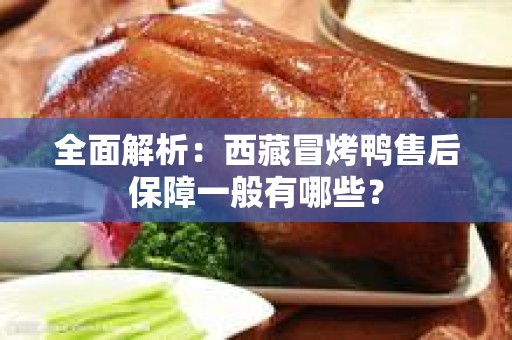 全面解析：西藏冒烤鸭售后保障一般有哪些？