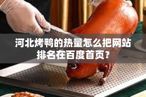 河北烤鸭的热量怎么把网站排名在百度首页？
