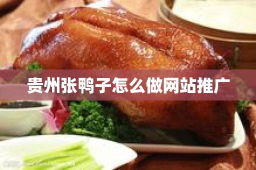 贵州张鸭子怎么做网站推广