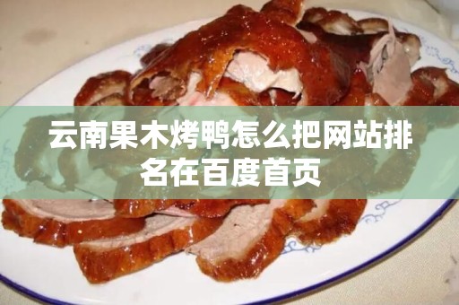 云南果木烤鸭怎么把网站排名在百度首页