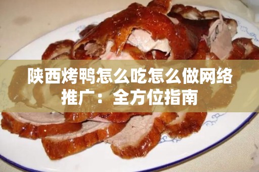 陕西烤鸭怎么吃怎么做网络推广：全方位指南