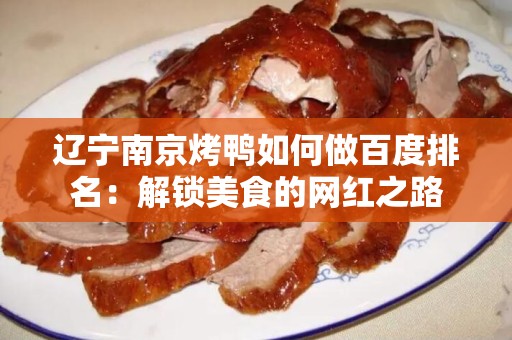 辽宁南京烤鸭如何做百度排名：解锁美食的网红之路