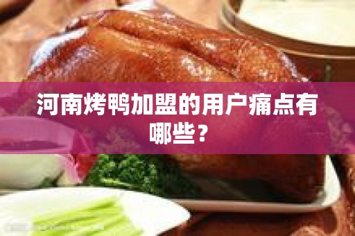 河南烤鸭加盟的用户痛点有哪些？