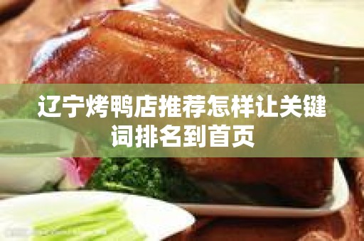 辽宁烤鸭店推荐怎样让关键词排名到首页