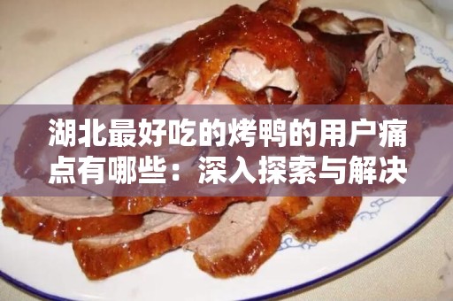 湖北最好吃的烤鸭的用户痛点有哪些：深入探索与解决方案