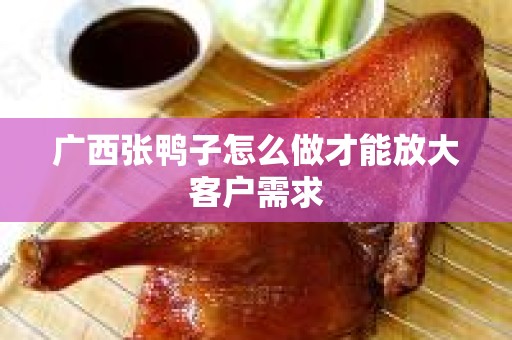 广西张鸭子怎么做才能放大客户需求