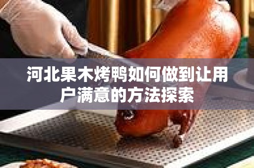 河北果木烤鸭如何做到让用户满意的方法探索