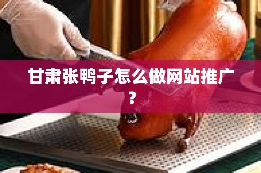 甘肃张鸭子怎么做网站推广？