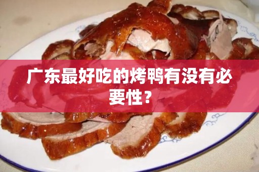广东最好吃的烤鸭有没有必要性？