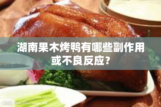 湖南果木烤鸭有哪些副作用或不良反应？